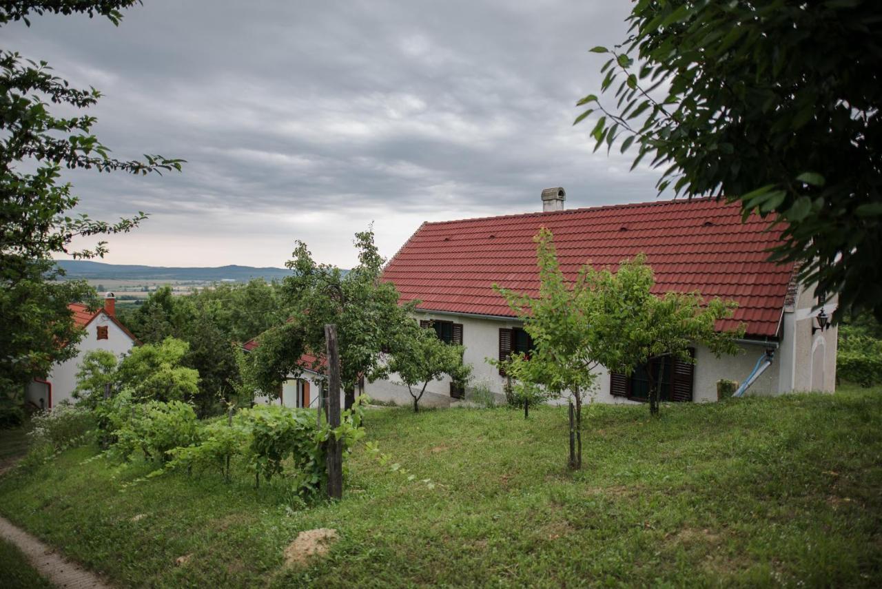 Hillside Vendeghaz A Szent Gyoergy-Hegyen Villa Raposka ภายนอก รูปภาพ